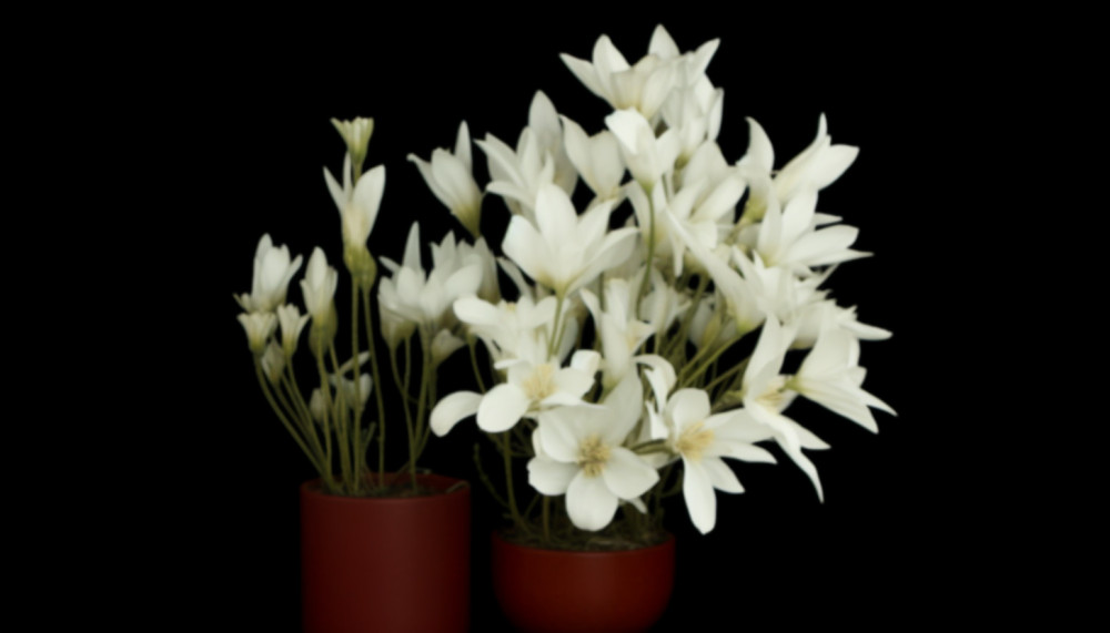 Santé - Les bienfaits des soins capillaires naturels pour vos cheveux lissés